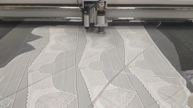 蕾絲大視覺切割機